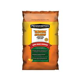 Pennington 100086246 Kwik Grass Seed, 3 lb Bag