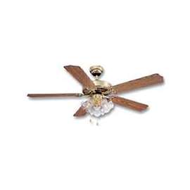 Boston Harbor Ceiling Fan Light Kit, Candelabra, 3, 60 W Lamp, Polished Brass, 18-1/2 In H X 52 In W