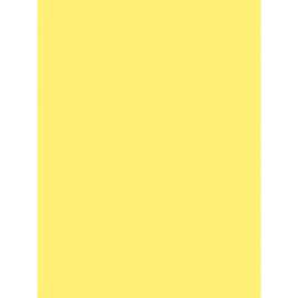 Pacon SunWorks Construction Paper