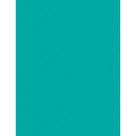 Pacon Multi-purpose Bright Color Paper