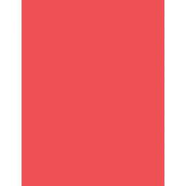 Pacon Neon Color Multi-purpose Paper