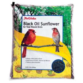 TV 10LB SunFLWR Seed