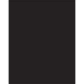 Pacon Coated Poster Board