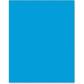 Pacon Premium Neon Poster Board