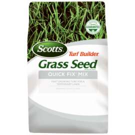 3LB TB Quick Fix Seed