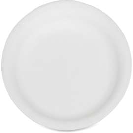 SKILCRAFT Disposable Paper Plates