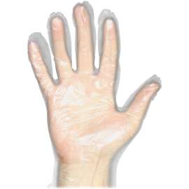Protected Chef Latex-free General-purpose Gloves