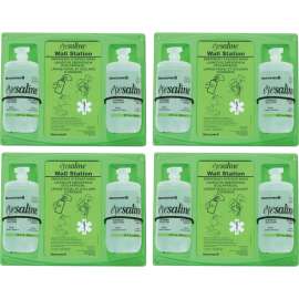 Fendall 32 oz. Double Eyewash Wall Station