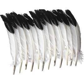 Pacon Creativity Street Imitation Eagle Feathers