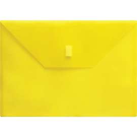 Lion Design-R-Line Poly Envelopes