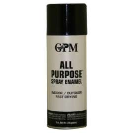 9OZ GLS BLK Spray Paint