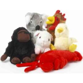5-7" Look Talk Dog Toy