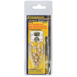 20PK 1/4RND Head Plug