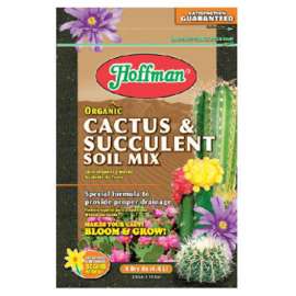 4QT Cactus/Succelen Mix