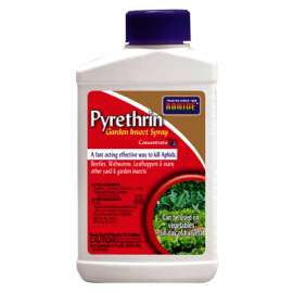 8OZ Conc GDN Spray