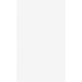 Tops Unruled Memo Pad