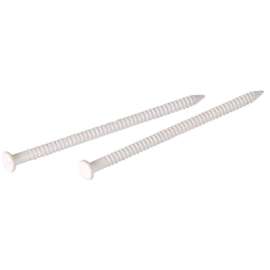 6OZ 1" WHT Panel Nail