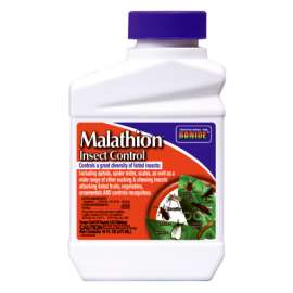 16OZ Conc Malathion