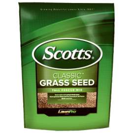 20LBClass Tall Fescue