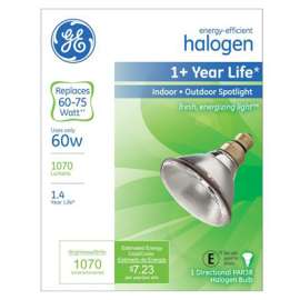GE 60W Halo Spot Light