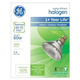 GE 60W Halo FLD Bulb