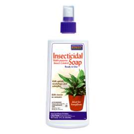 12OZ RTU Insect Soap