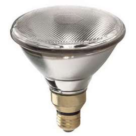 WP 38W Par38 FLD Bulb