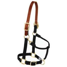 1" SM BLK Snap Halter