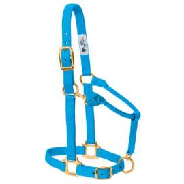 1" AVG BLU Snap Halter