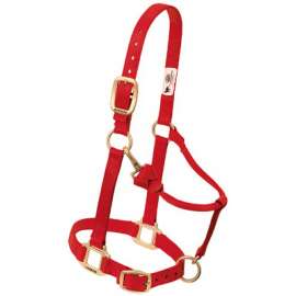 1" LG RED Snap Halter