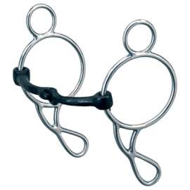 SS Gag Bit