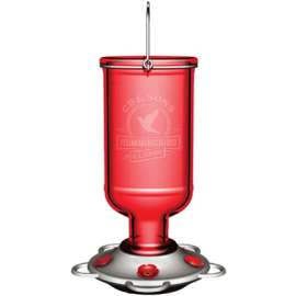 13OZ Elixir Hum Feeder