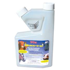 Brute 16OZ Insecticide
