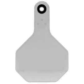 25PK MED WHT Blank Tag