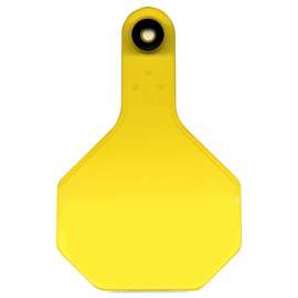 25PK MED YEL Blank Tag