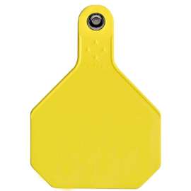 25PK LG YEL Blank Tag