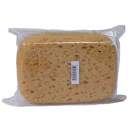 MED Body Sponge