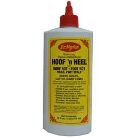 16OZ Top Antibacterial