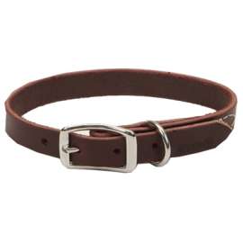 3/4x20 LTHR Dog Collar
