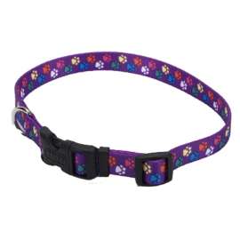 5/8" ADJ Paws Collar