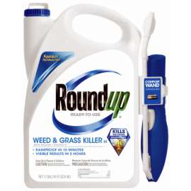 1.1GAL Gras/Weed Killer