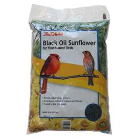 TV 5LB BLK SunFLWR Seed