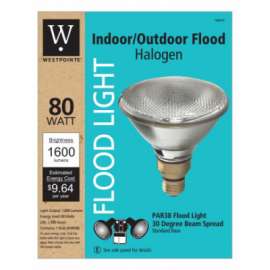 WP 80W Par38 FLD Bulb