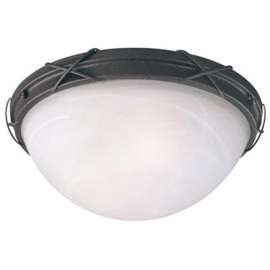 2LGT Ceiling Fixture