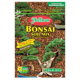 2QT Bonsai Mix