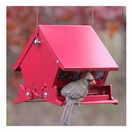 Mini Abso Hopper Feeder