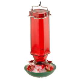 16OZ Ruby Humm Feeder