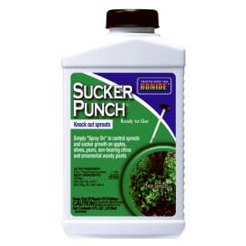 8OZ RTU Sucker Punch