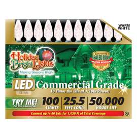 100LT WW C6 LED LGT Set