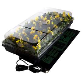 Germination Station
